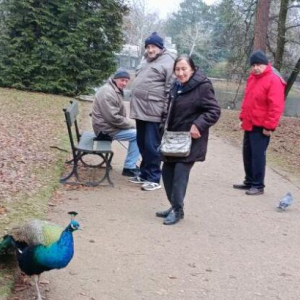 Zajęcia edukacyjne w Łazienkach Królewskich
